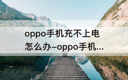 oppo手机充不上电怎么办-oppo手机充不上电怎么办?