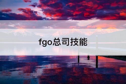 fgo总司技能