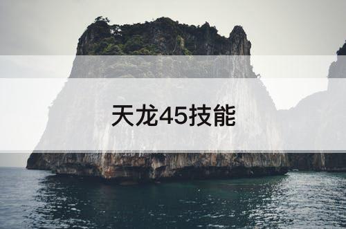 天龙45技能