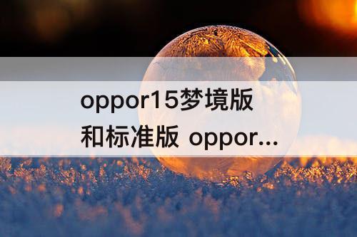 oppor15梦境版和标准版 oppor15梦境版和标准版的区别在哪里