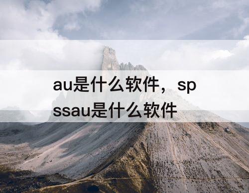 au是什么软件，spssau是什么软件