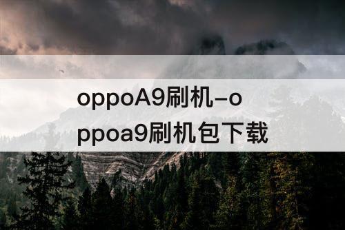 oppoA9刷机-oppoa9刷机包下载