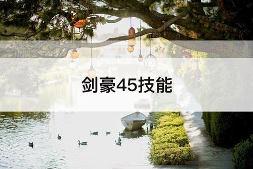 剑豪45技能