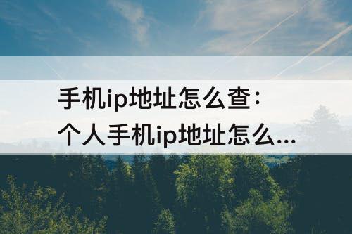 手机ip地址怎么查：个人手机ip地址怎么查询