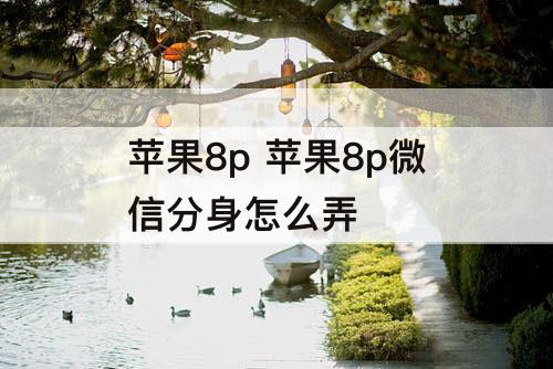 苹果8p 苹果8p微信分身怎么弄