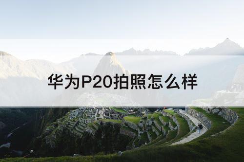 华为P20拍照怎么样