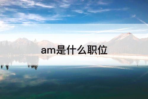 am是什么职位