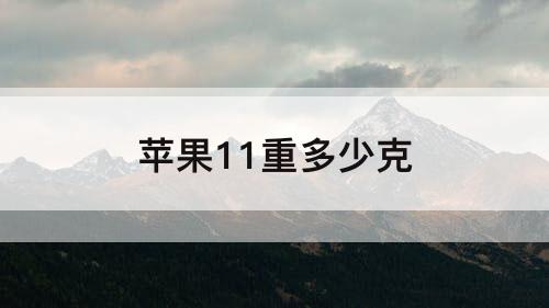 苹果11重多少克