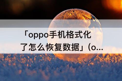 「oppo手机格式化了怎么恢复数据」(oppo手机格式化了怎么恢复数据没备份)