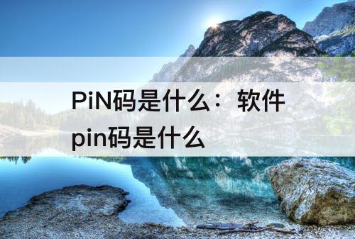PiN码是什么：软件pin码是什么