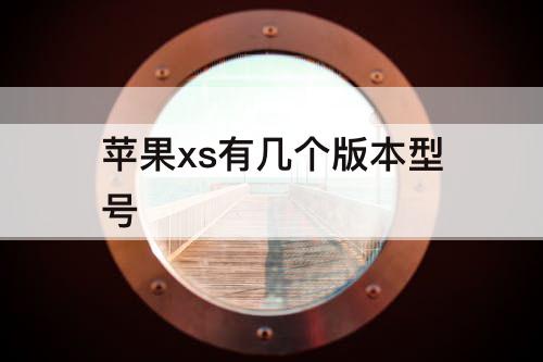 苹果xs有几个版本型号