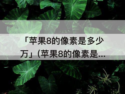 「苹果8的像素是多少万」(苹果8的像素是多少万像素)