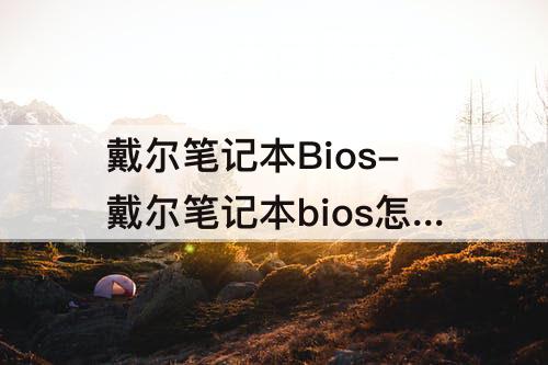 戴尔笔记本Bios-戴尔笔记本bios怎么设置