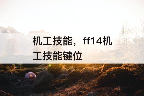 机工技能，ff14机工技能键位