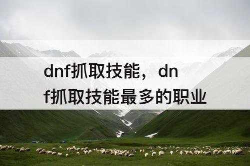 dnf抓取技能，dnf抓取技能最多的职业