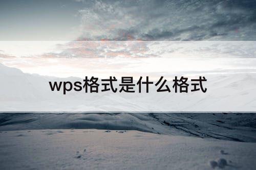 wps格式是什么格式