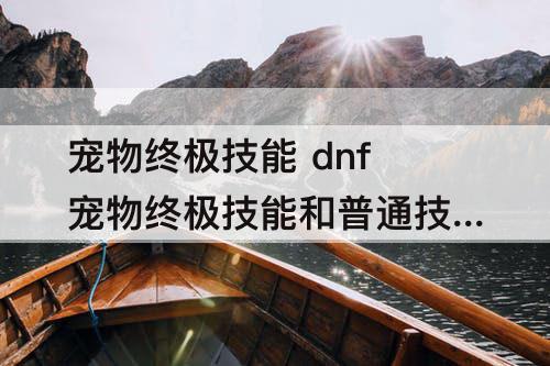 宠物终极技能 dnf宠物终极技能和普通技能