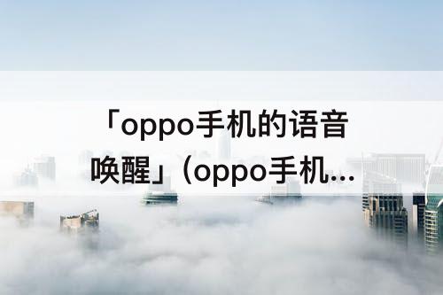 「oppo手机的语音唤醒」(oppo手机的语音唤醒叫什么名字)