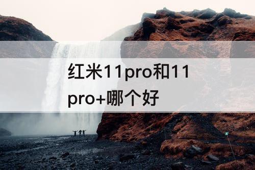 红米11pro和11pro+哪个好