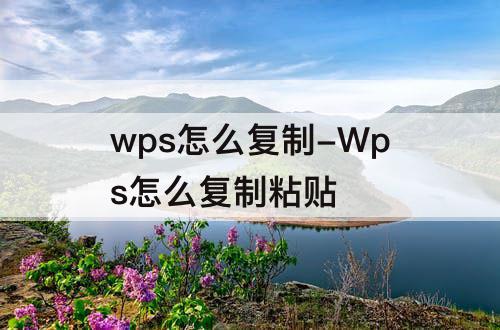 wps怎么复制-Wps怎么复制粘贴