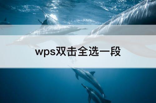 wps双击全选一段