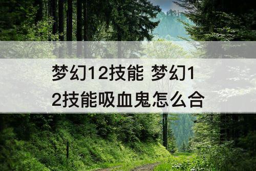 梦幻12技能 梦幻12技能吸血鬼怎么合