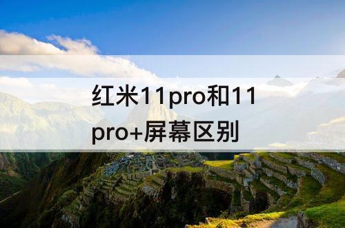 红米11pro和11pro+屏幕区别