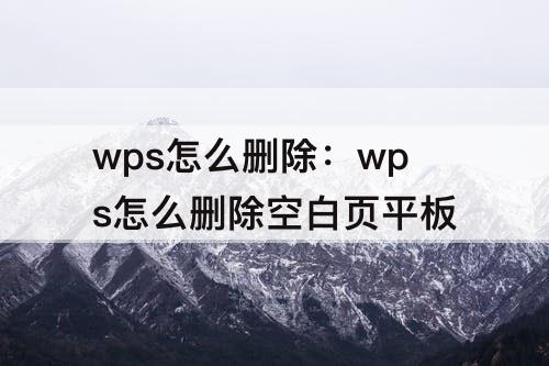 wps怎么删除：wps怎么删除空白页平板