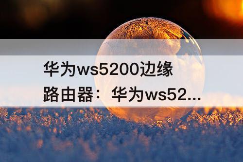 华为ws5200边缘路由器：华为ws5200边缘路由器是几核