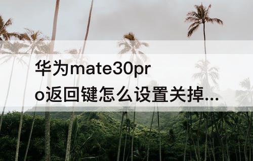 华为mate30pro返回键怎么设置关掉?