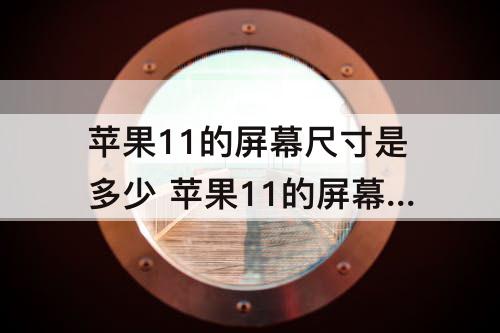 苹果11的屏幕尺寸是多少 苹果11的屏幕尺寸是多少像素