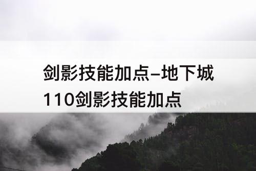 剑影技能加点-地下城110剑影技能加点