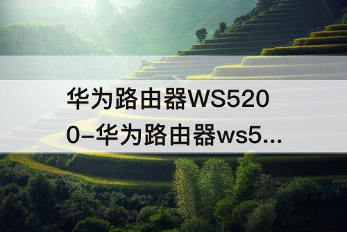 华为路由器WS5200-华为路由器ws5200四核版是千兆的吗