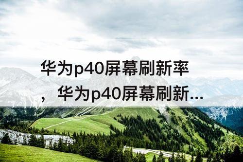 华为p40屏幕刷新率，华为p40屏幕刷新率在哪设置