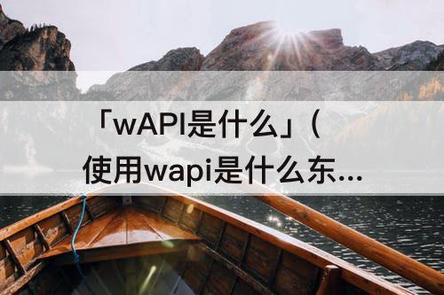 「wAPI是什么」(使用wapi是什么东西)