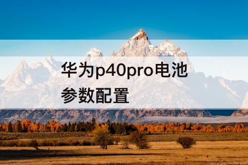 华为p40pro电池参数配置