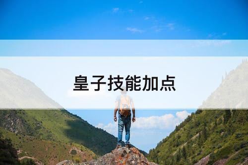 皇子技能加点