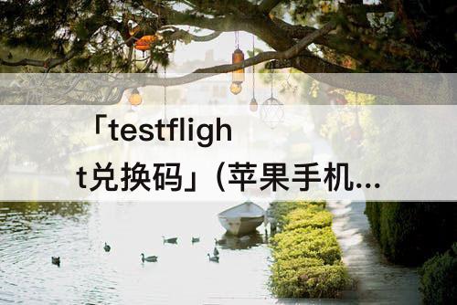 「testflight兑换码」(苹果手机testflight兑换码)