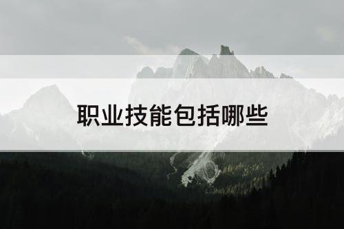 职业技能包括哪些