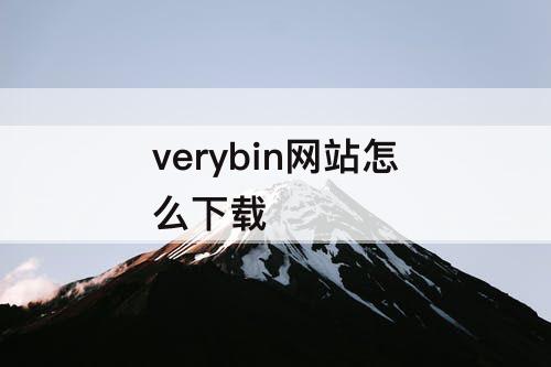 verybin网站怎么下载