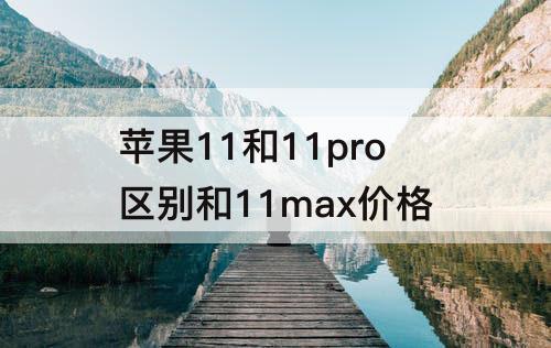 苹果11和11pro区别和11max价格