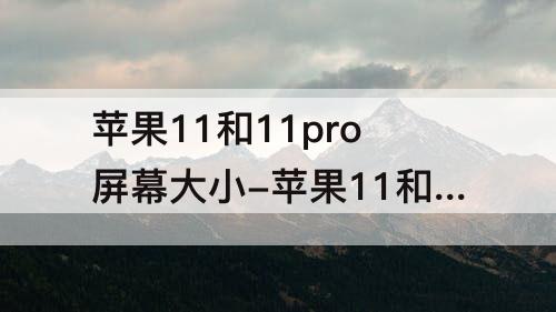 苹果11和11pro屏幕大小-苹果11和11Pro屏幕大小一样吗