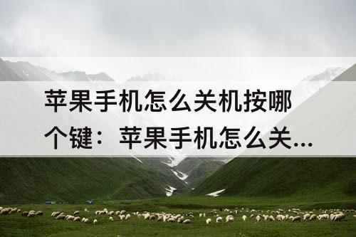 苹果手机怎么关机按哪个键：苹果手机怎么关机按哪个键苹果手机商务号