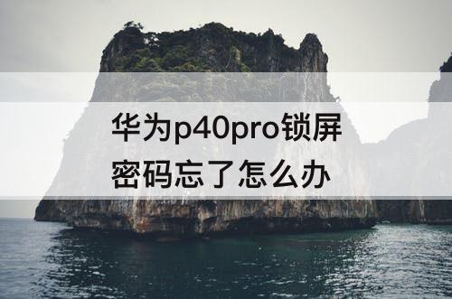 华为p40pro锁屏密码忘了怎么办