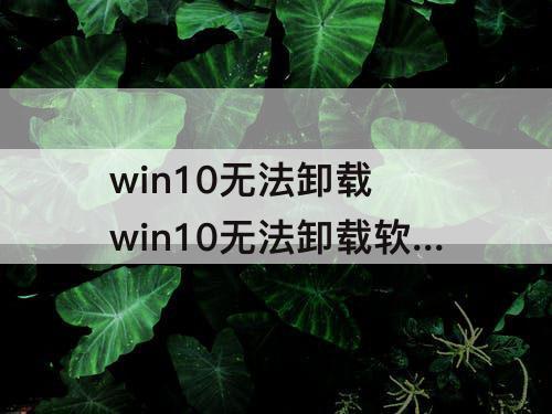 win10无法卸载 win10无法卸载软件