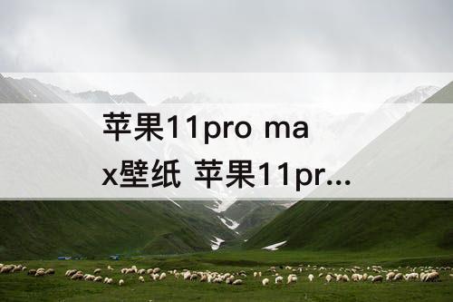 苹果11pro max壁纸 苹果11pro Max壁纸高清图片