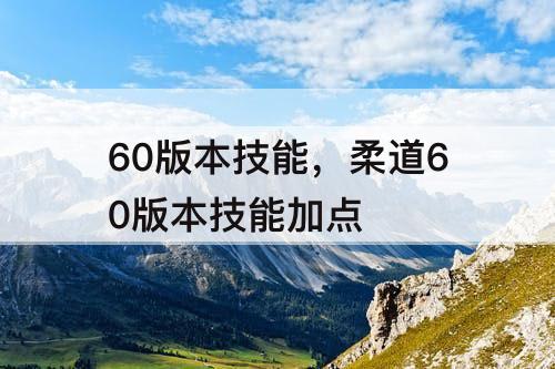 60版本技能，柔道60版本技能加点