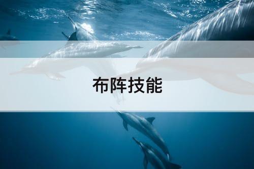 布阵技能