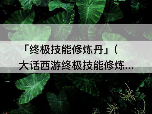 「终极技能修炼丹」(大话西游终极技能修炼丹多少钱)