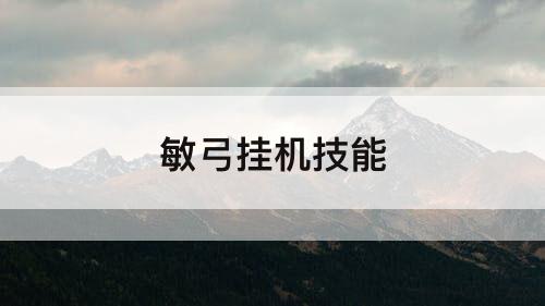 敏弓挂机技能